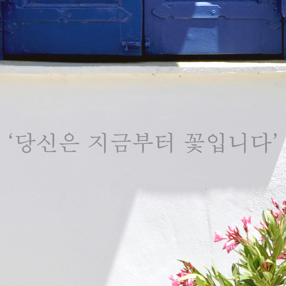 감성 레터링 스티커 카페 창문 당신은 지금부터 꽃입니다 L-078S 검정 이미지 8