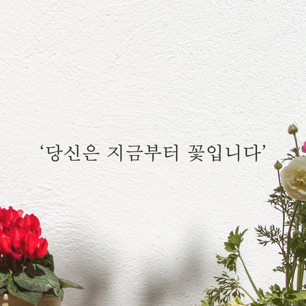 감성 레터링 스티커 카페 창문 당신은 지금부터 꽃입니다 L-078S 검정 - 상세 이미지 4
