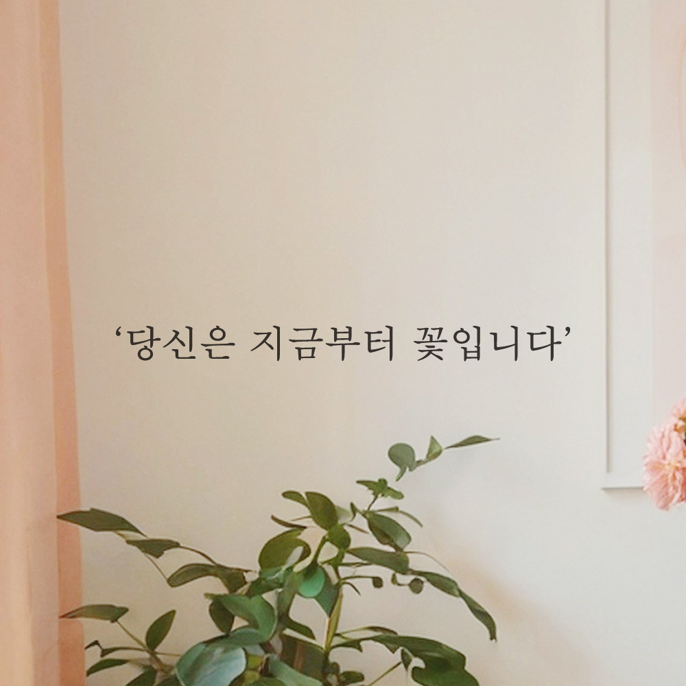 감성 레터링 스티커 카페 창문 당신은 지금부터 꽃입니다 L-078S 검정 - 상세 이미지 3