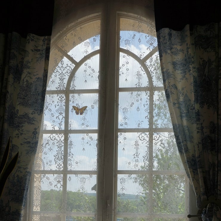 영국 레이스 커튼 MYB 로얄플로랄 루신다 커텐 거실 창문 커텐