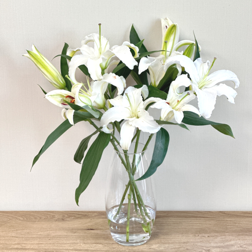 백합꽃 생화 쉐라 시베리아