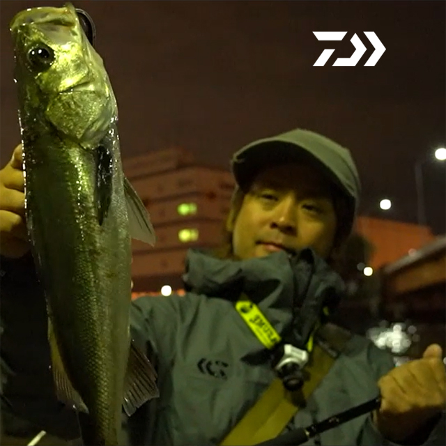 다이와 라테오 R 농어대 농어 루어대 서프 루어낚시대 인쇼어 삼치 광어 양태 86ML - 상세 이미지 2