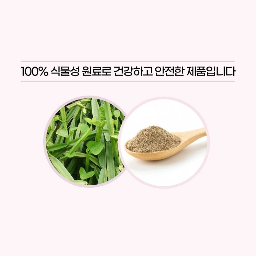 파이오라 뉴질랜드 시서스 분말타입 225g 3개월분 1통 100% 식물성 원료 이미지 7