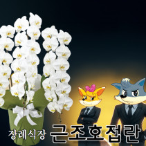 [근조호접란] 장례식장 조화배달 서울 부산 전국 꽃배달서비스