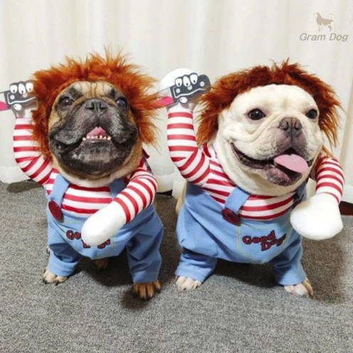 강아지처키옷 고양이 코스프레 코스튬 할로윈 파티 웃긴옷 의상 처키 애견 ... 솔직 후기 | 실제 사용자 리뷰 총정리 - 대표 이미지