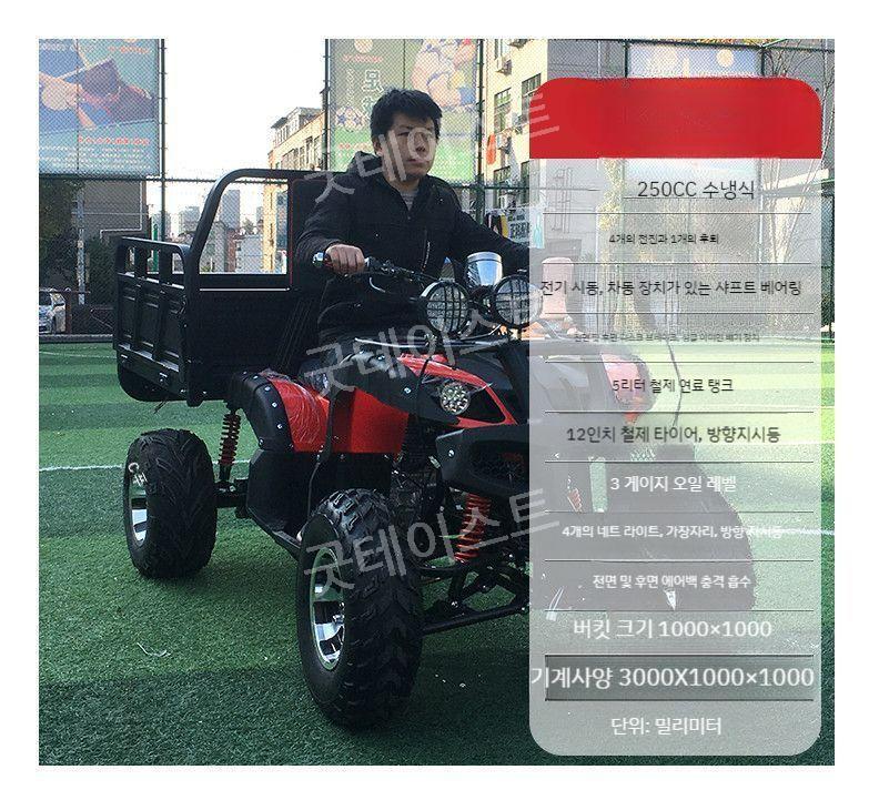 산악 ATV 바이크 오토바이 사발이 팜트럭 트레일러 농업용 150 200 250cc - 상세 이미지 2