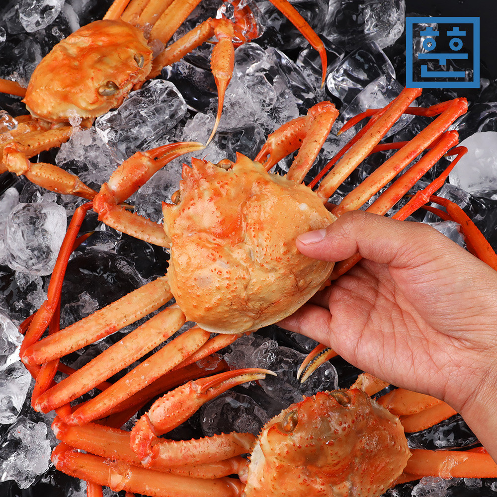 수율 품질 보장 홍게 구룡포 영덕 붉은 대게