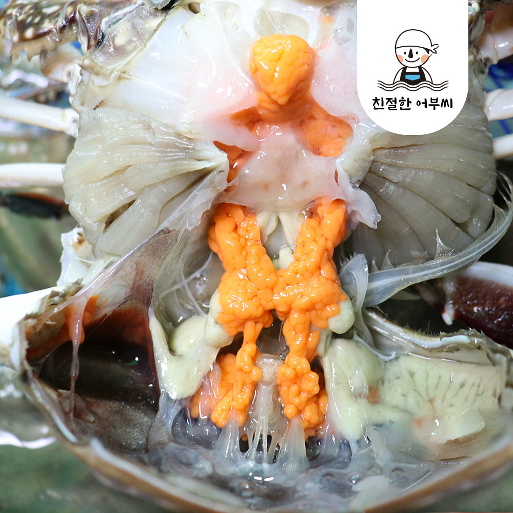 제철 꽃게 1kg 암꽃게 급냉 냉동 알배기 몽당꽂개 친절한어부씨