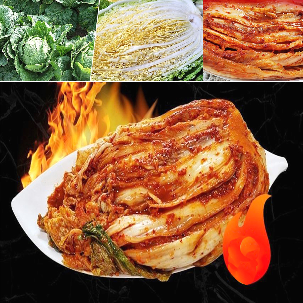 맛있는 양념 매운김치 5kg 10kg 깔끔한 전통 반찬