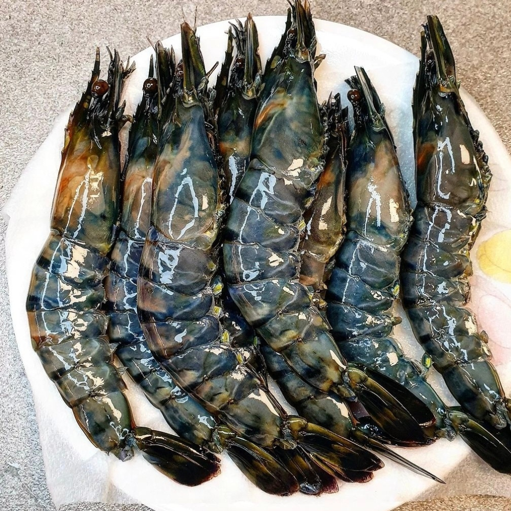 블랙 타이거 새우 얼룩새우 500g 킹타이거새우 - 상세 이미지 2