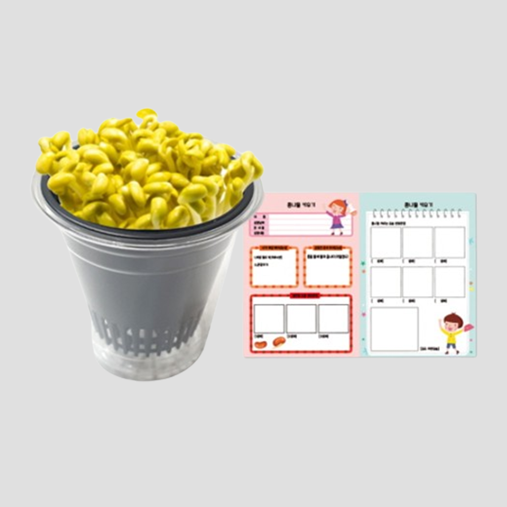 콩나물 키우기 키트 세트 유아 초등학생 유치원 활동 재료 어린이집 학습 놀이 미술 수업 - 상품 이미지