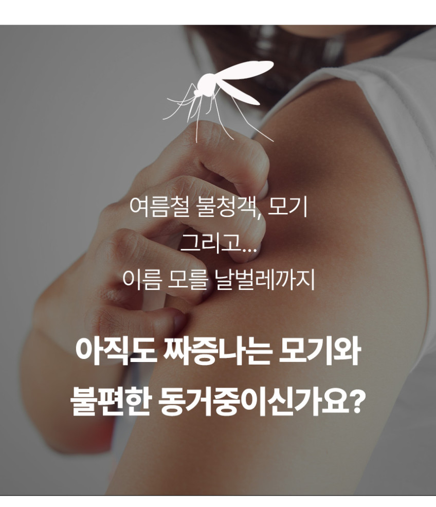듀플렉스 모기퇴치기 포충기 벌레 날파리 해충 가정용 캠핑 버그둠 판매처 상세 정보 이미지 3