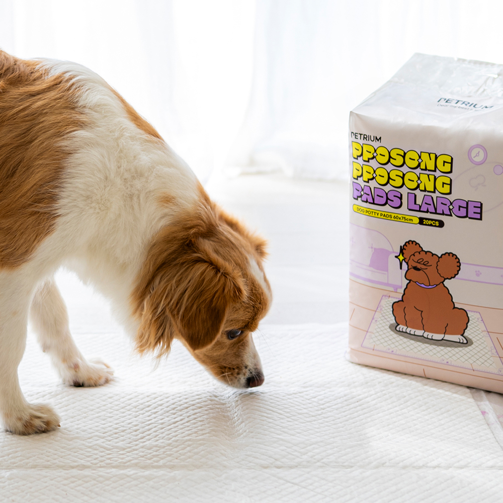 펫트리움 뽀송뽀송 강아지 애견 고흡수 배변패드 대형 소형 이미지 2