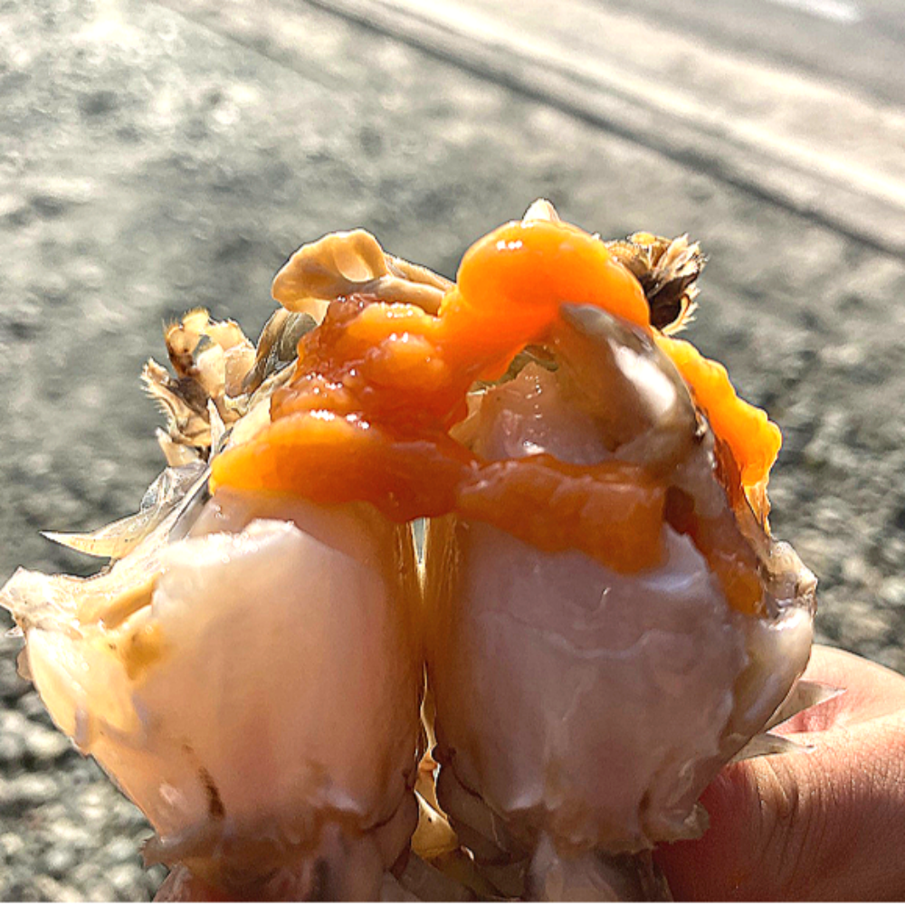 서해안 제철 활꽃게 가을 숫꽃게 냉동꽃게 암꽃게 꽃게 1kg - 상세 이미지 4