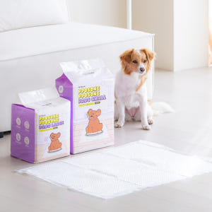 펫트리움 뽀송뽀송 강아지 애견 고흡수 배변패드 대형 소형 솔직 후기 | 실제 사용자 리뷰 총정리 - 상품 이미지 1