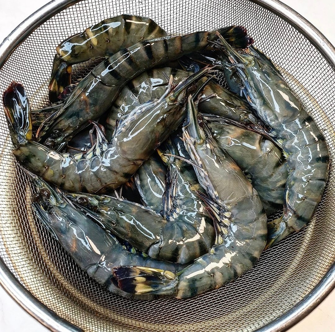 블랙 타이거 새우 얼룩새우 500g 킹타이거새우 이미지 6