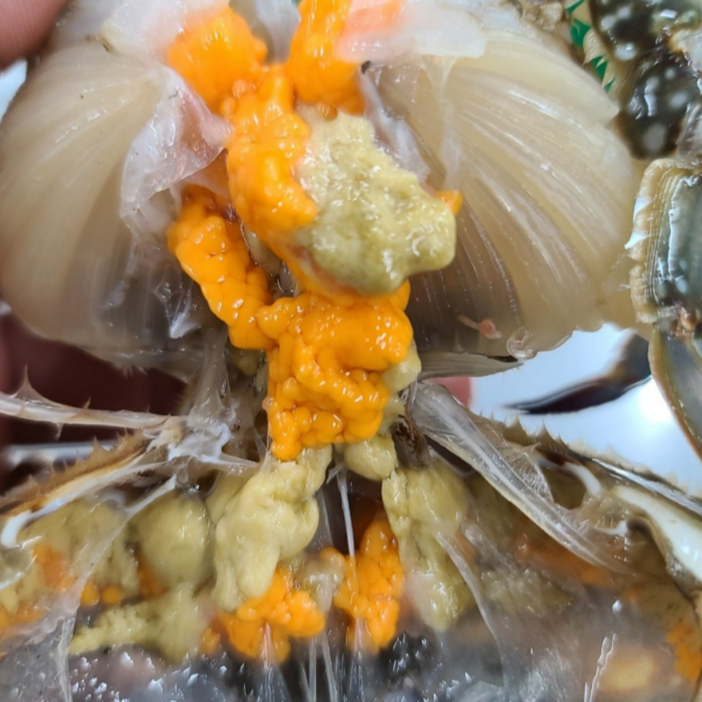 서해안 제철 활꽃게 가을 숫꽃게 냉동꽃게 암꽃게 꽃게 1kg - 상세 이미지 5