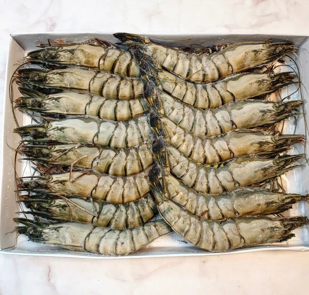 블랙 타이거 새우 얼룩새우 500g 킹타이거새우 - 상세 이미지 5