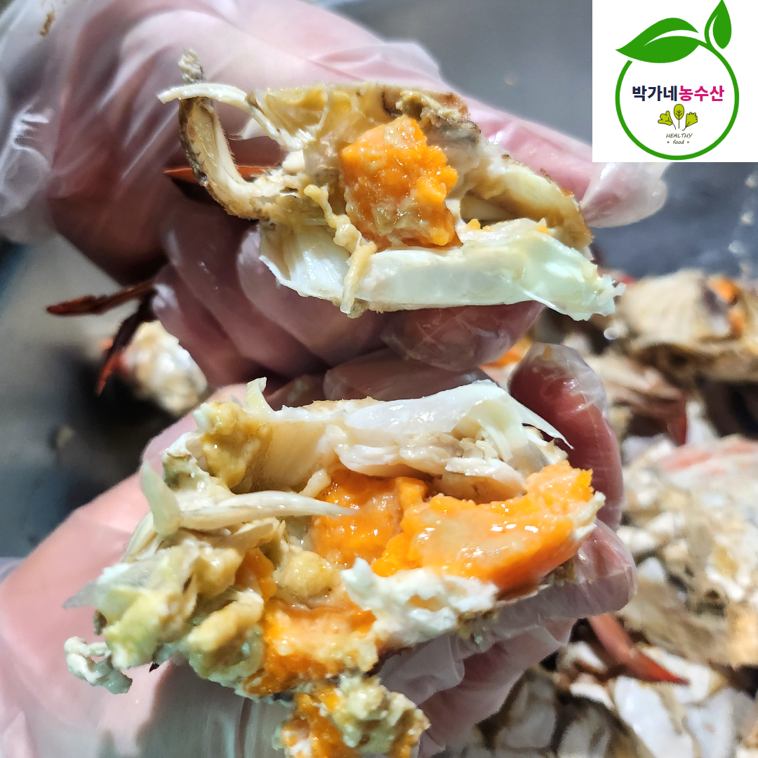 국내산 제철 생물 알배기 암꽃게 1kg (4-6미) - 상세 이미지 5