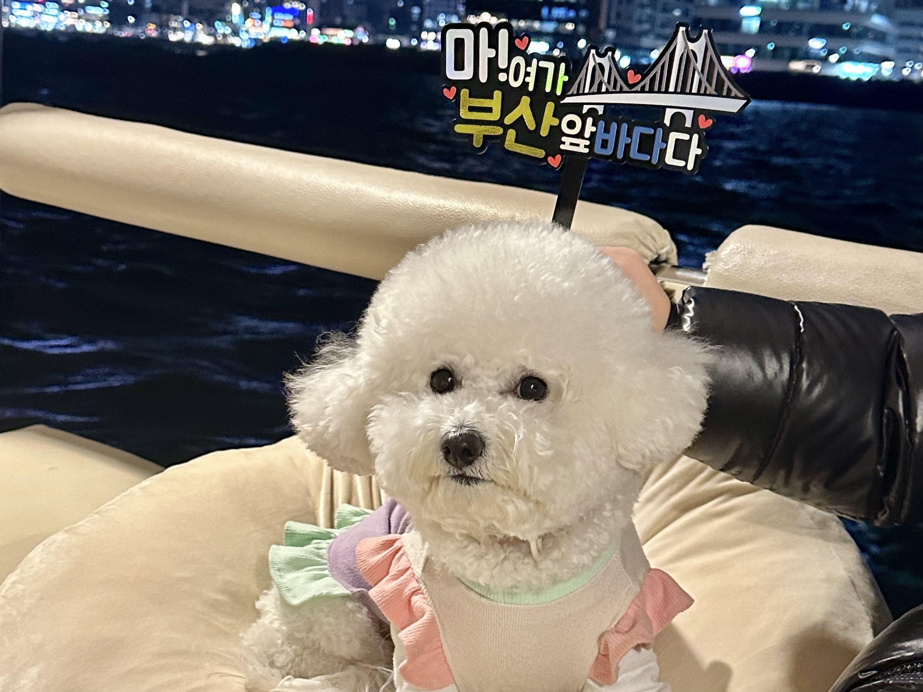 부산요트투어 광안리 해변출발 해운대 더베이101 야경 폭죽 드론쇼 예약 소인 주간 위드요트 상세 이미지 8