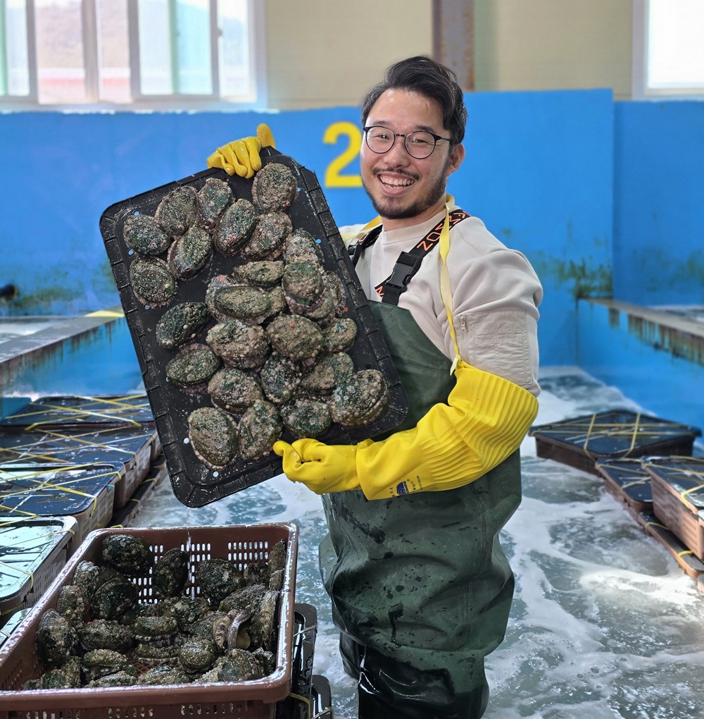 당일 손질전복 완도 활전복1kg 냉동 특대전복 부터 꼬마전복 4남매털보아빠 자숙