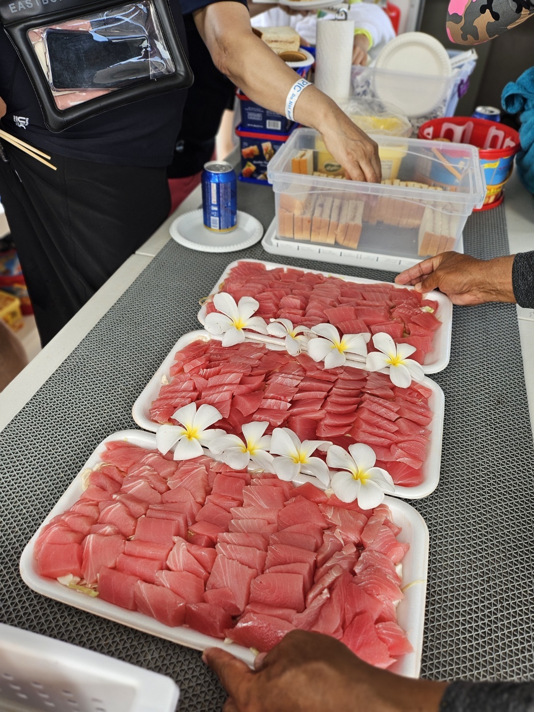 괌 돌핀크루즈 에메랄드밸리 블루 or 스타 99%확정 돌고래 투어 자유여행 오후 예약가능 이미지 4