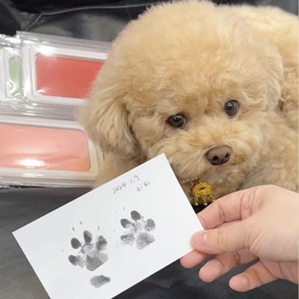 반려동물 발도장 강아지 고양이 반려견 발바닥 스탬프 3컬러 - 상세 이미지 5