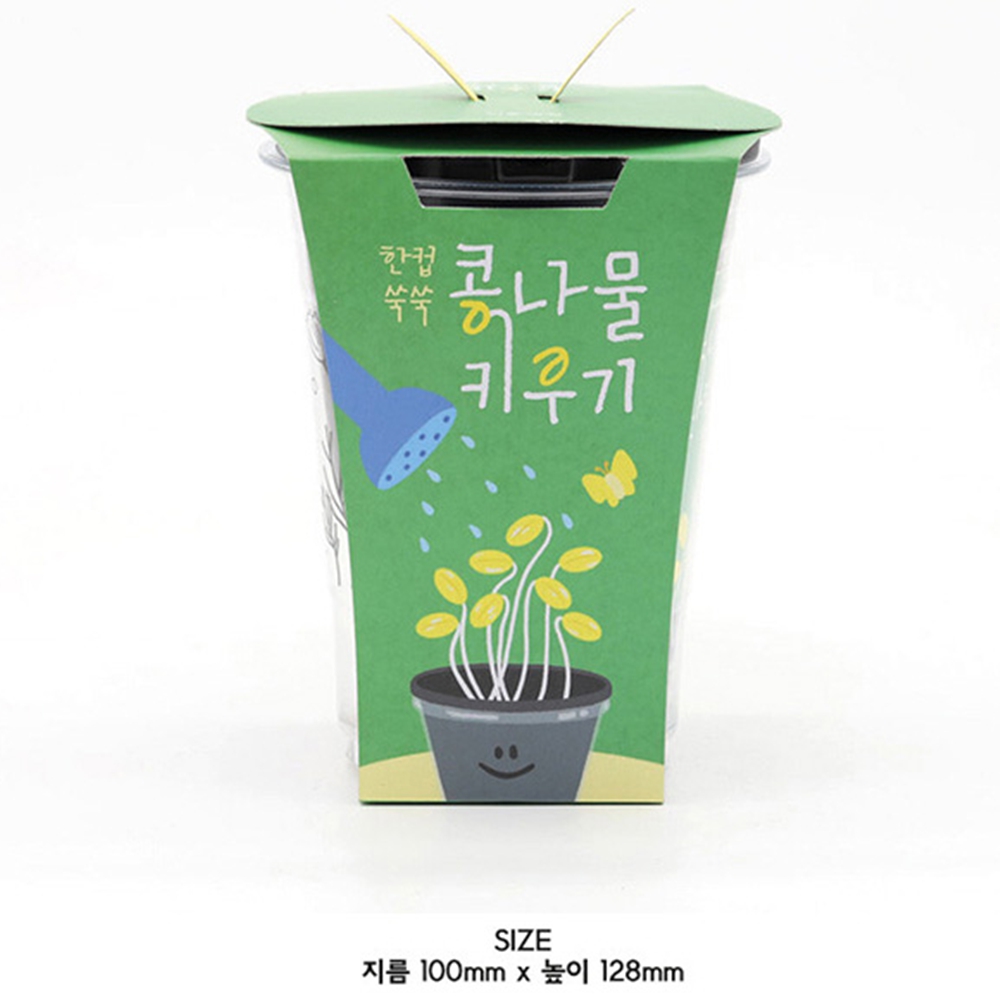 콩나물키우기키트 콩나물 기르기 재배 키트 - 상세 이미지 3
