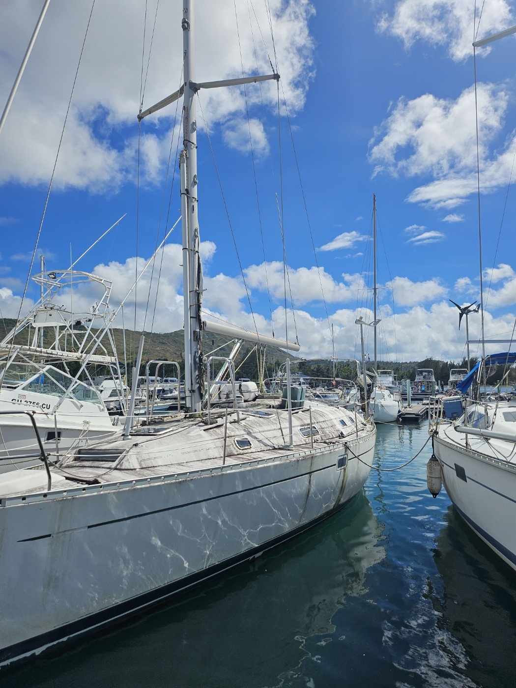 괌 돌핀크루즈 에메랄드밸리 블루 or 스타 99%확정 돌고래 투어 자유여행 오후 예약가능 이미지 2