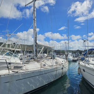 괌 돌핀크루즈 에메랄드밸리 블루 or 스타 99%확정 돌고래 투어 자유여... 솔직 후기 | 실사용자 리뷰 분석 - 상품 이미지 2