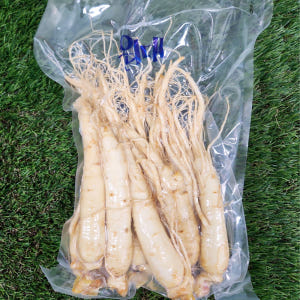 인삼 수삼 금산인삼 인삼꿀절임 원수삼 대 1채 750g 맛있게 먹은 솔직 후기 - 상품 이미지 4
