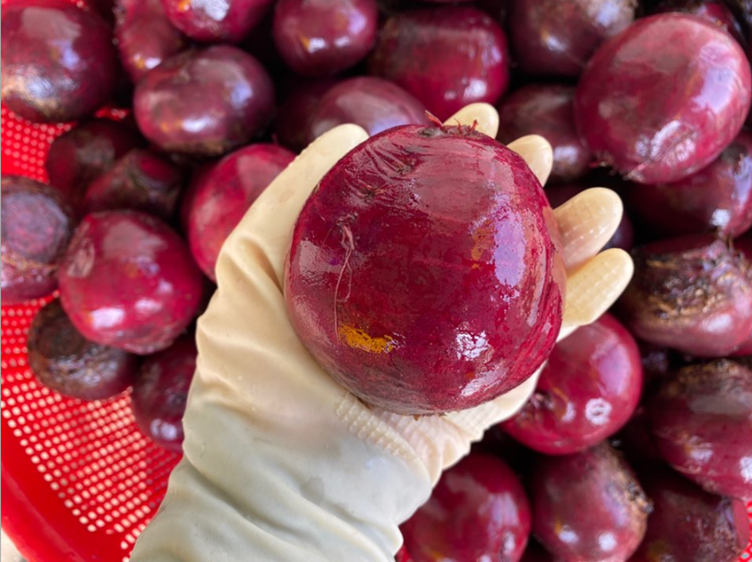 2025 해남 저온추출 레드 비트즙 100ml 30팩  비트 원액 임산부 - 상세 이미지 3