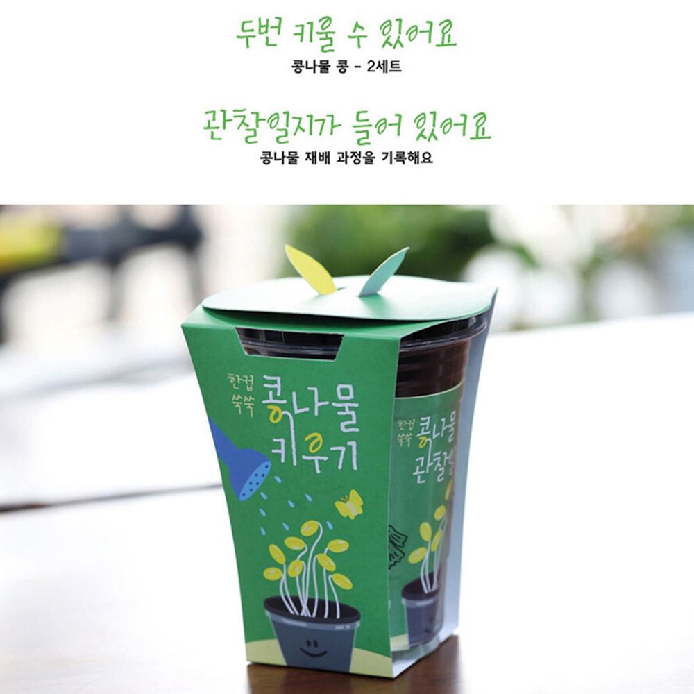 콩나물키우기키트 콩나물 기르기 재배 키트 - 상품 이미지