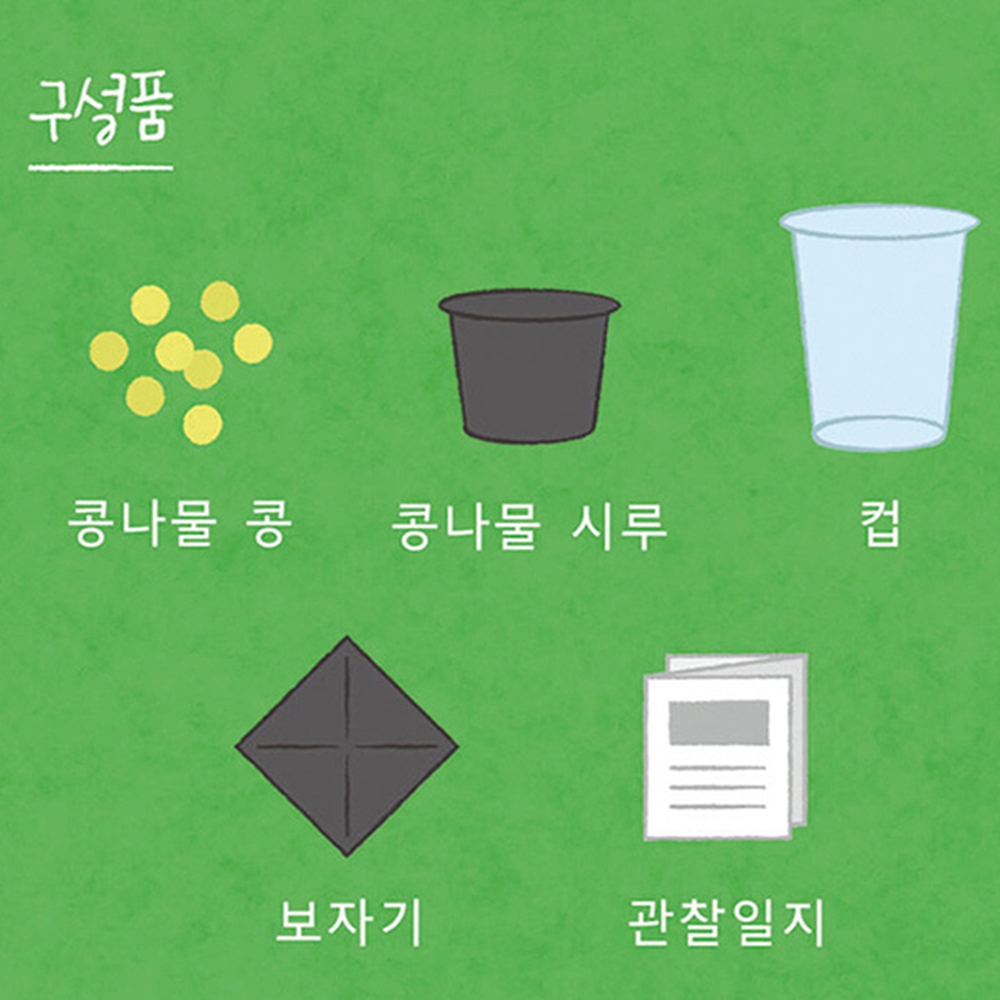 콩나물키우기키트 콩나물 기르기 재배 키트 이미지 7