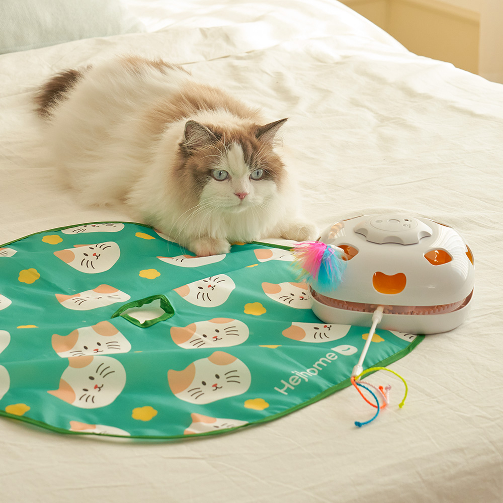 헤이홈 고양이 꼬리잡기 자동 장난감 펫 토이 제품 이미지