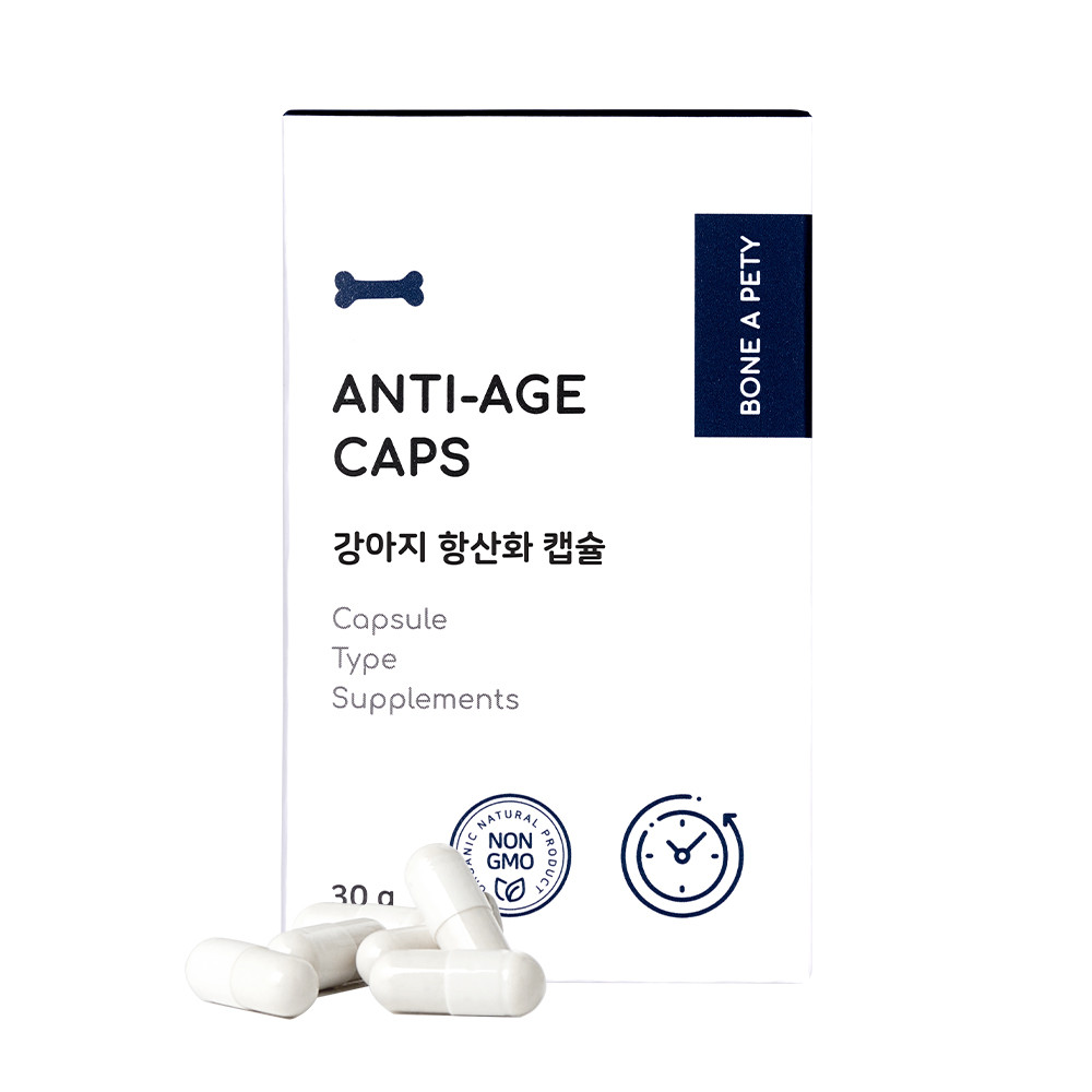 본아페티 안티에이지캡스 강아지 오메가3 항산화 영양제 60캡슐, 1개 - 상품 이미지