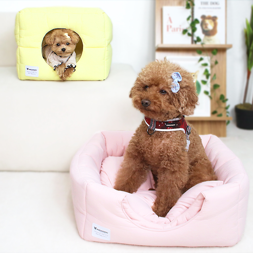 개과천선 워티 강아지 하우스 집 생활방수 동굴 텐트 애견 침대 고양이 숨숨집