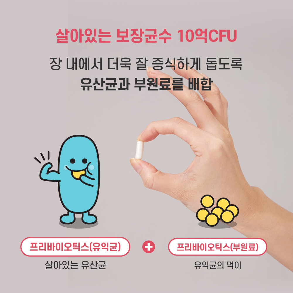 바디프로젝트 여성 질 유산균 30캡슐 3박스 질유래 유산균 프로바이오틱스 - 상세 이미지 4