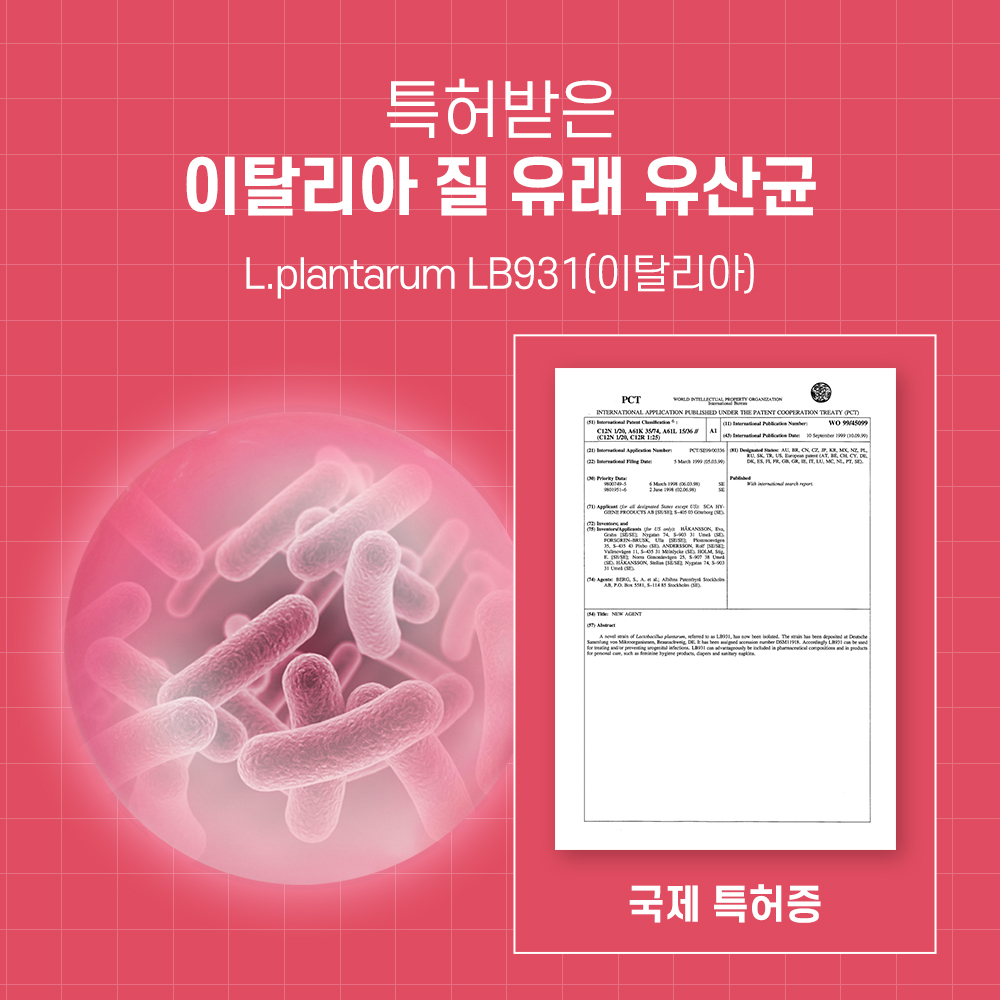 바디프로젝트 여성 질 유산균 30캡슐 3박스 질유래 유산균 프로바이오틱스 - 상세 이미지 2