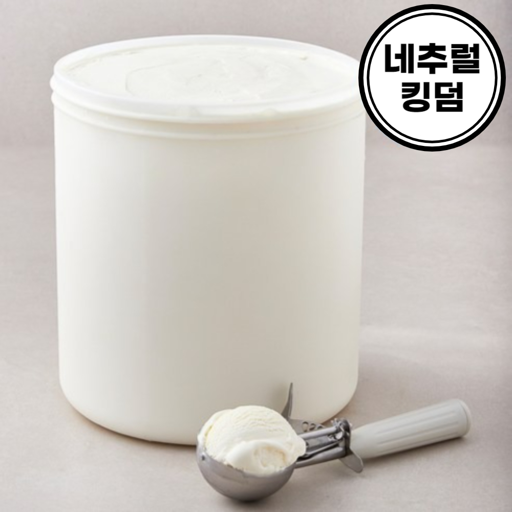 대용량 바닐라향 빙과 9L 아이스크림 - 상품 이미지