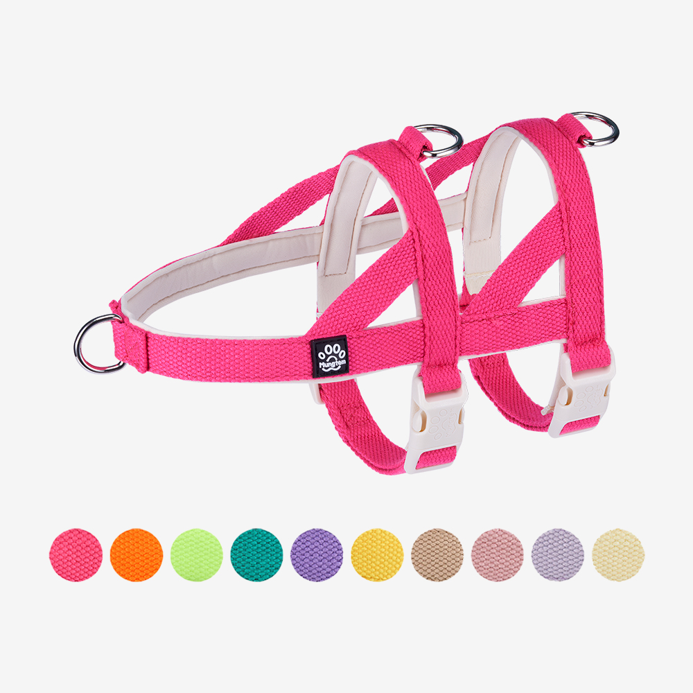 강아지 하네스 탈출방지 앞섬방지 소형견 관절보호 슬개골 앞고리 팔레트