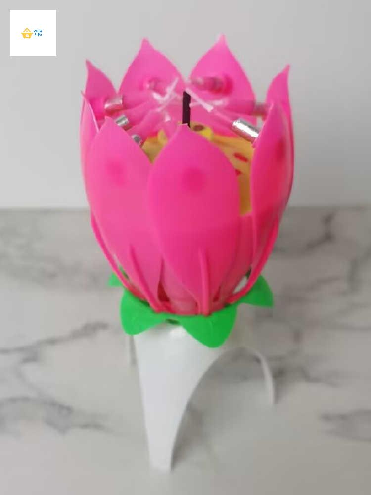 연꽃생일초 파티용품 촛불 웃긴 연꽃초 - 상세 이미지 5