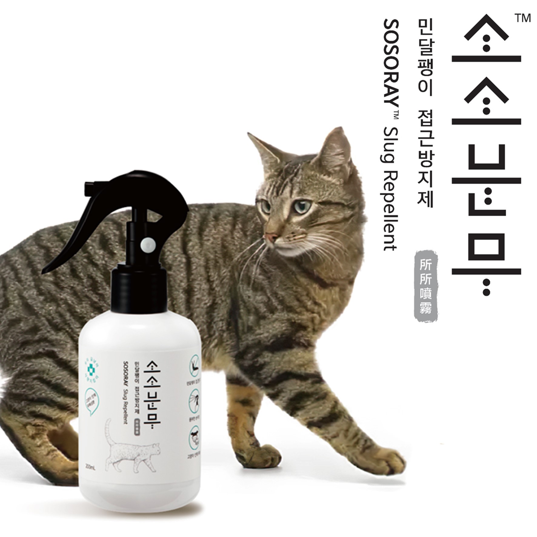 우성레포츠