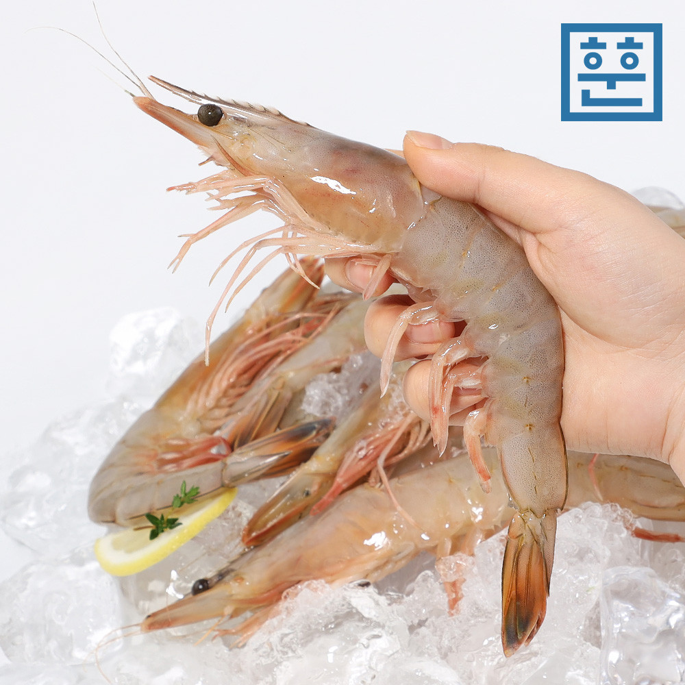 훈훈수산 제철 자연산 대하 암 서해 국내산 특대 왕새우 1kg, 1개 제품 이미지
