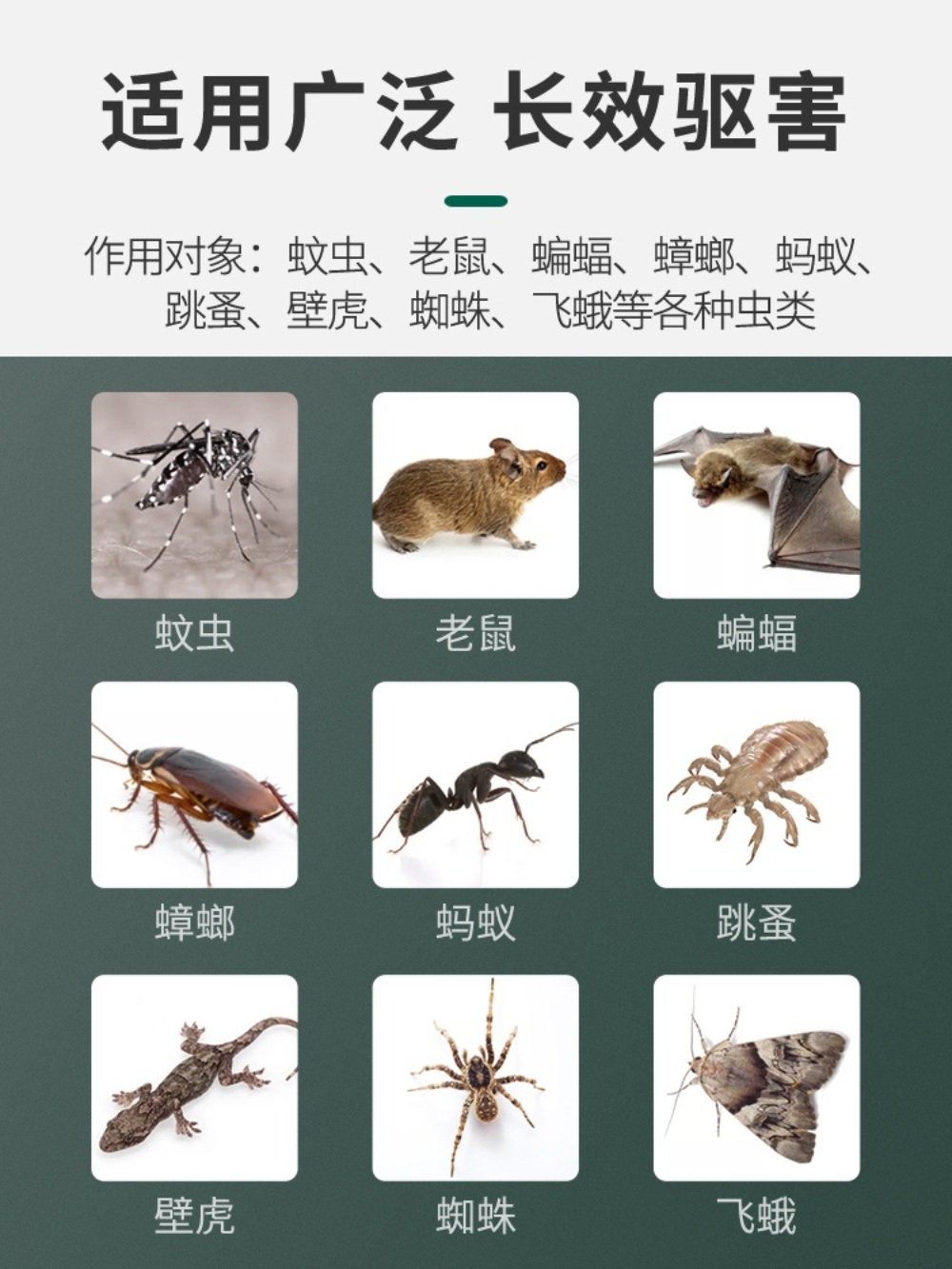 모기퇴치기 감응 무드등 2단계 조절 이미지 3