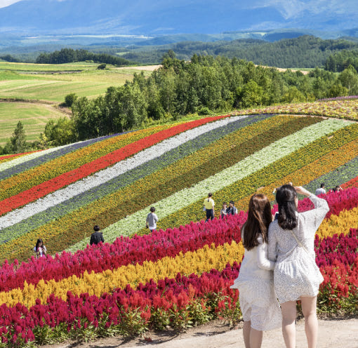 홋카이도 비에이 후라노 버스 투어 북해도 자유 여행 일일 1명이상 매일출발 유투어버스 삿포로 : 유투어버스