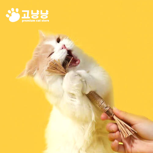 고양이 장난감 비교 이미지