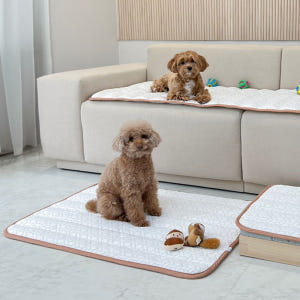 투인플레이스 강아지 고양이 쿨매트 듀라론 냉감 매트 L (65X45) 솔직 후기 | 실제 사용자 리뷰 총정리 - 상품 이미지 1