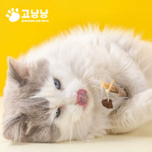 (3개입 x 3세트) 고냥냥 고양이 캣닢 마따따비 이갈이 치갈이 장난감 ... 솔직 후기 | 실제 사용자 리뷰 총정리 - 상품 이미지 3