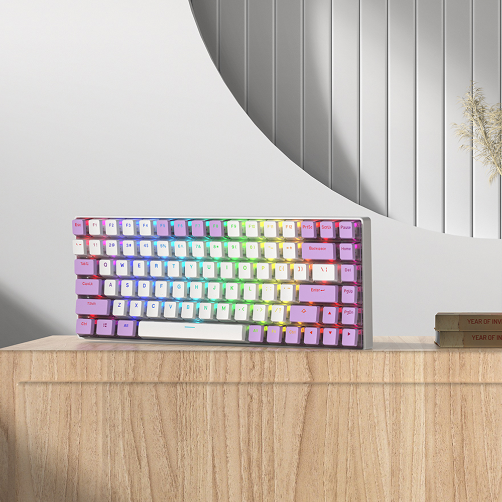 푸딩 투명 키캡 퍼플 LED RGB 반투명 OEM PBT 커스컴 키보드키캡 이미지 8